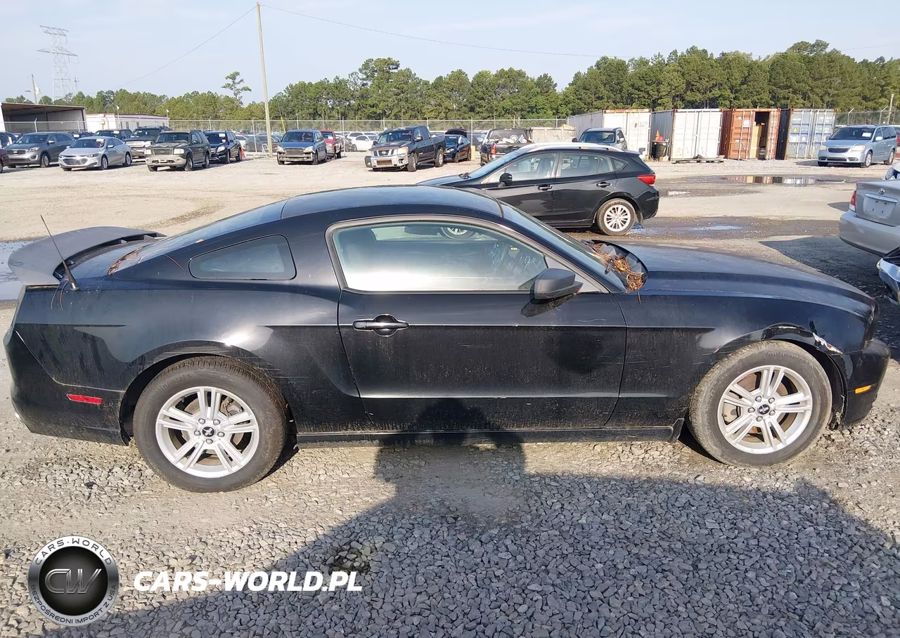 2013 Ford Mustang V6 VIN:1ZVBP8AM4D5241778 - 13