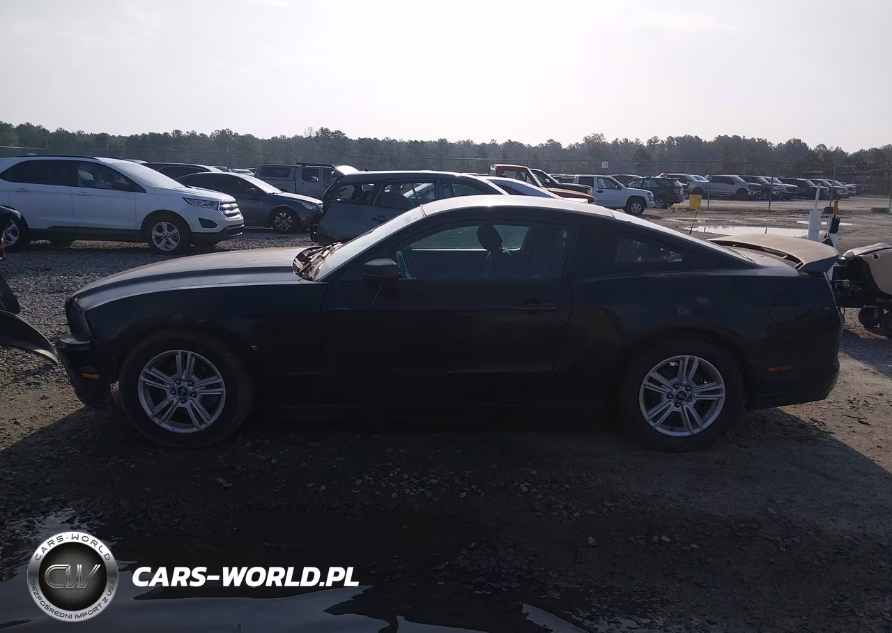 2013 Ford Mustang V6 VIN:1ZVBP8AM4D5241778 - 14