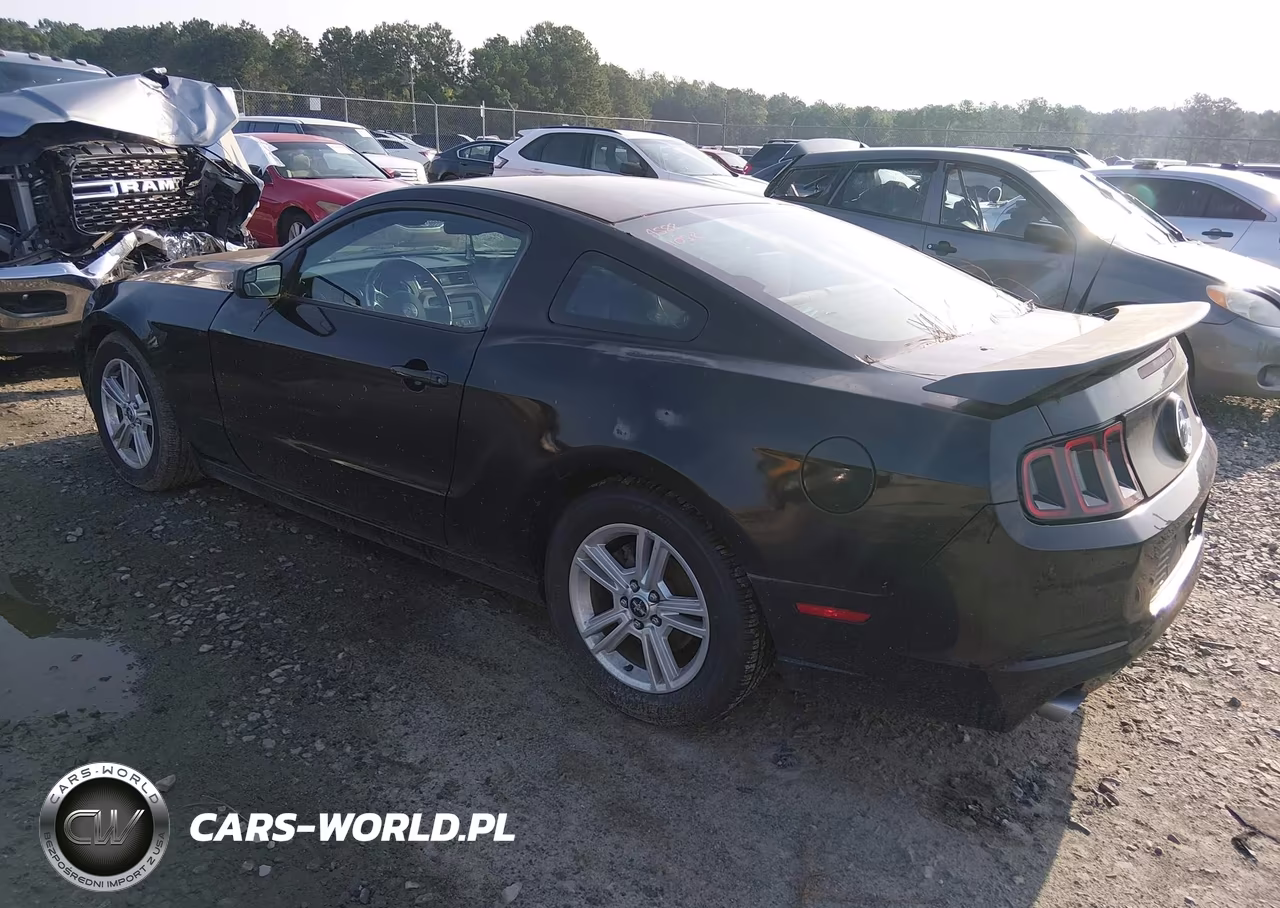 2013 Ford Mustang V6 VIN:1ZVBP8AM4D5241778 - 3