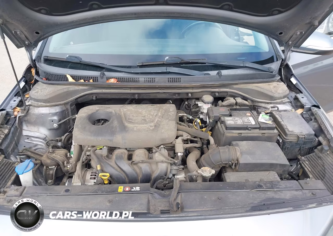 2019 Hyundai Accent Limited VIN:3KPC34A37KE055463 - 10