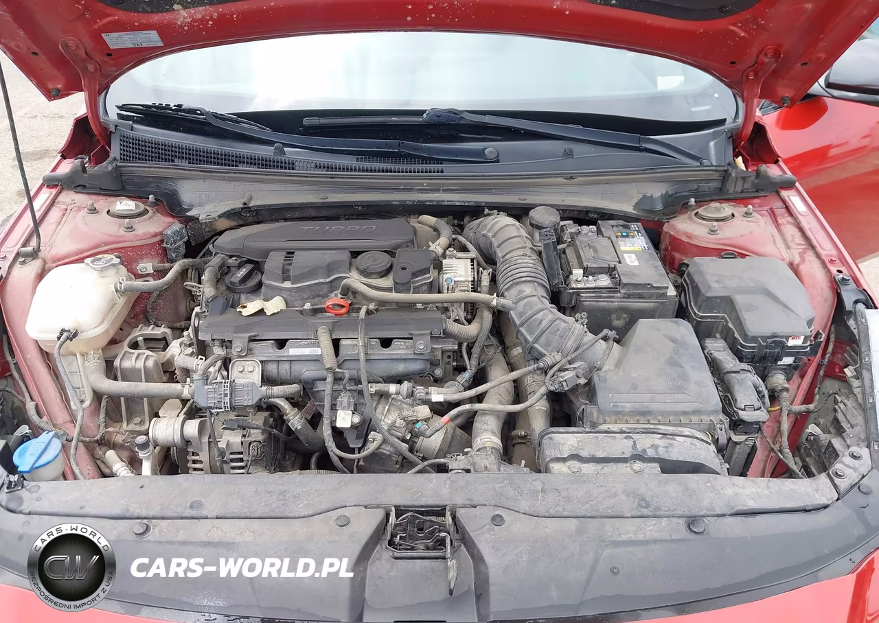 2022 Hyundai Elantra N Line VIN:KMHLR4AF7NU243295 - 10