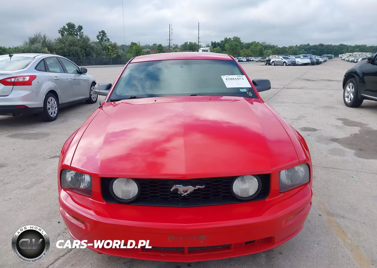 2006 Ford Mustang Gt VIN:1ZVFT82HX65212710 - 11
