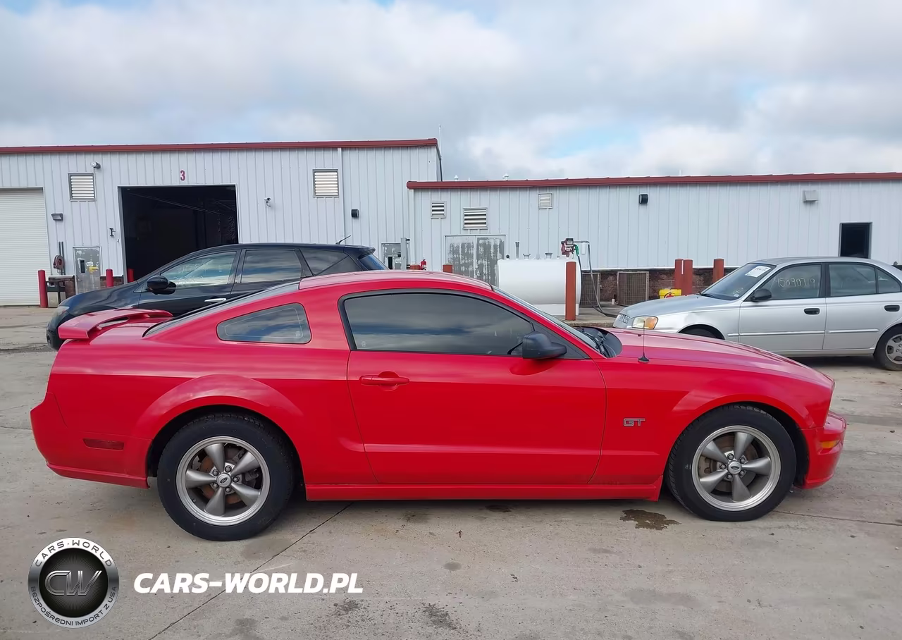 2006 Ford Mustang Gt VIN:1ZVFT82HX65212710 - 12