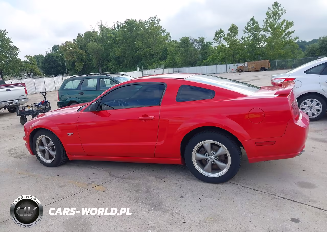 2006 Ford Mustang Gt VIN:1ZVFT82HX65212710 - 13