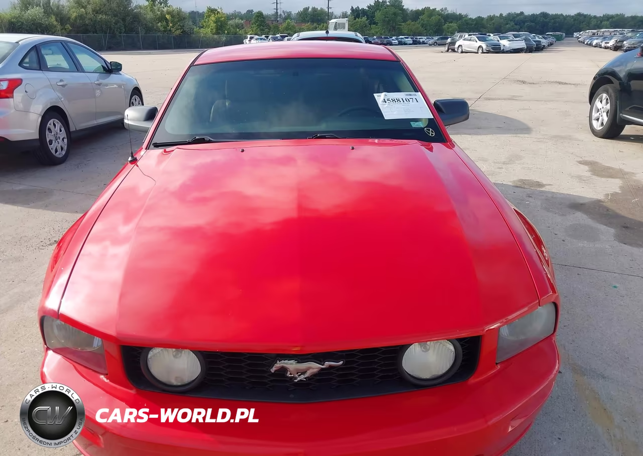 2006 Ford Mustang Gt VIN:1ZVFT82HX65212710 - 6