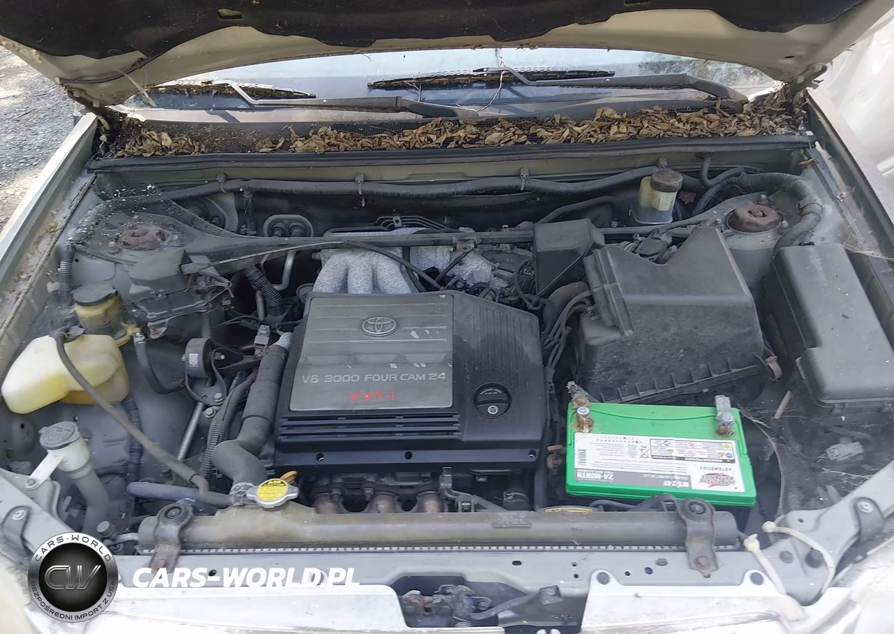 2002 Toyota Highlander V6 VIN:JTEGF21A220042474 - 10