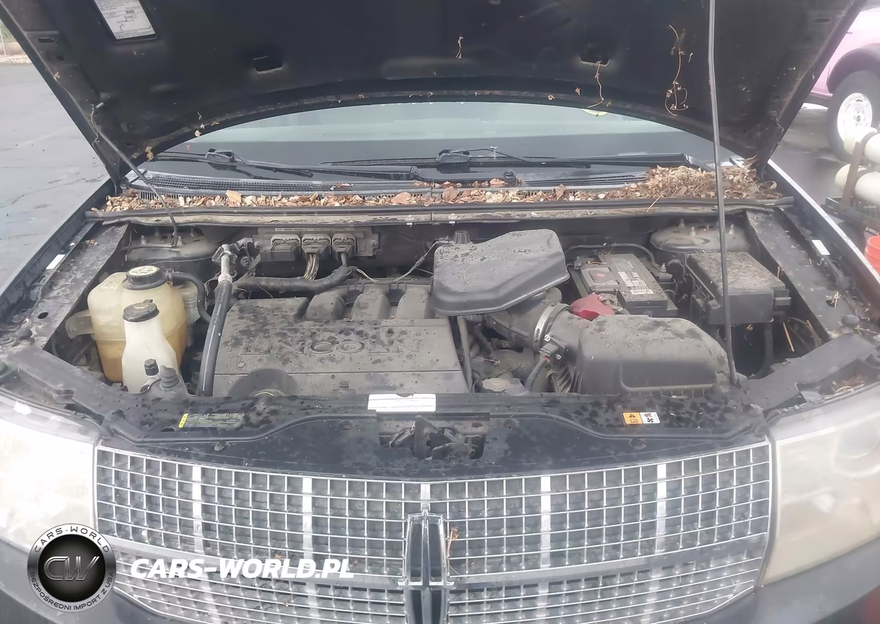 2007 Lincoln Mkx VIN:2LMDU68C87BJ31273 - 9