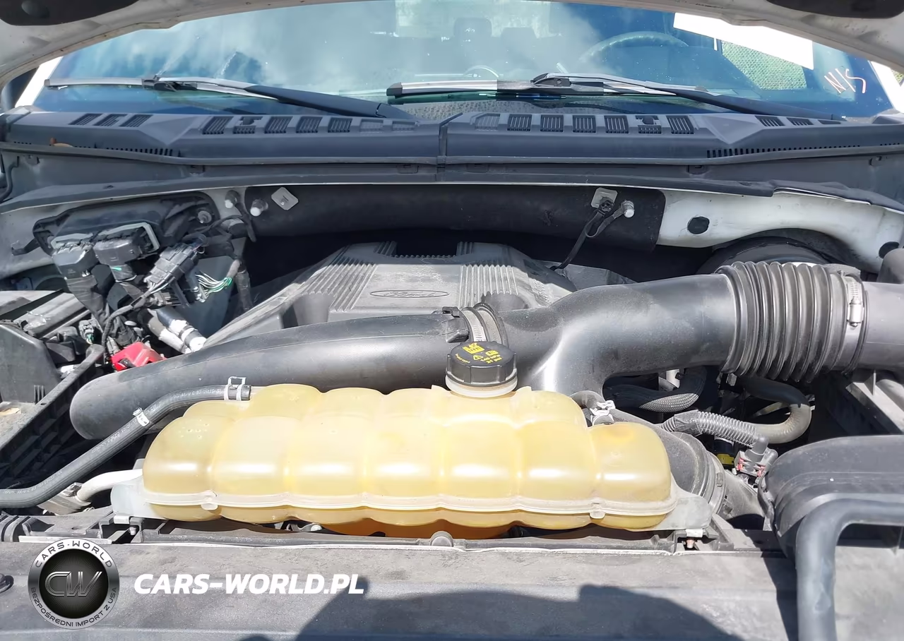 2019 Ford F-150 Xlt VIN:1FTEW1C47KKC52439 - 10