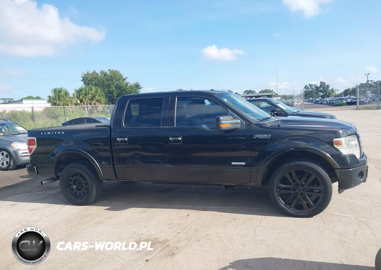 2014 Ford F-150 Limited VIN:1FTFW1CT6EFA59305 - 13