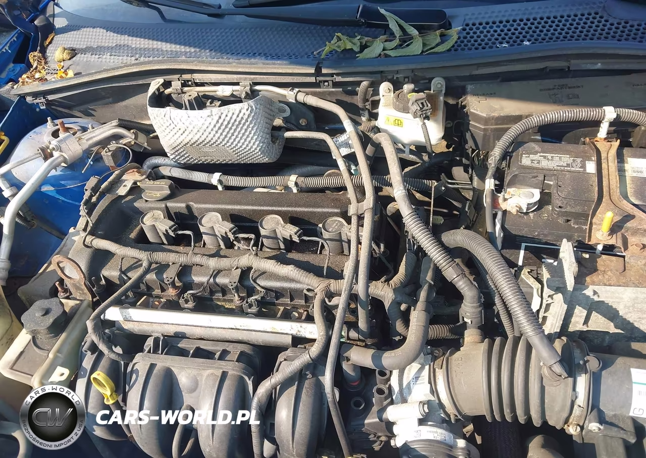 2010 Ford Focus Ses VIN:1FAHP3GN6AW129110 - 10