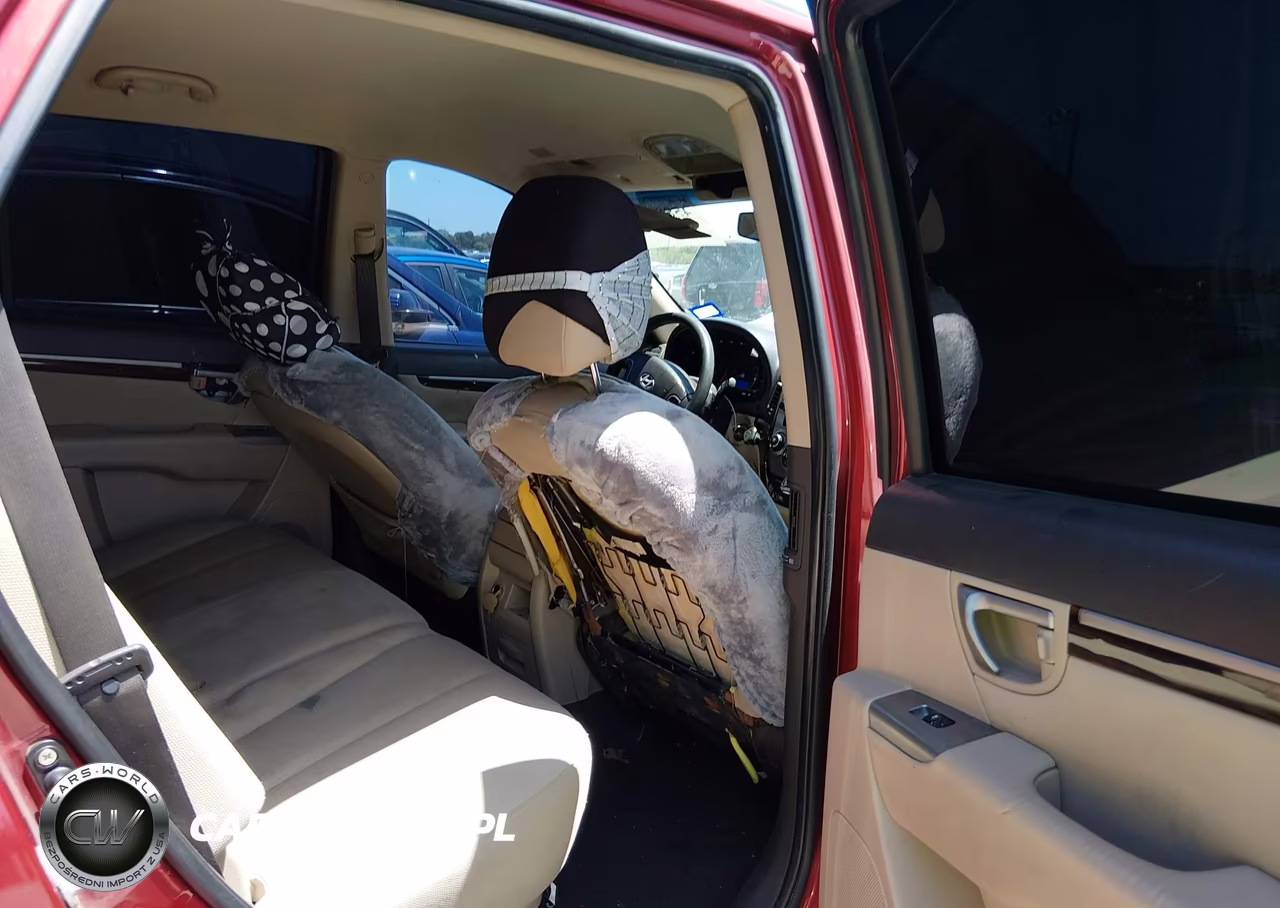 2010 Hyundai Santa Fe Gls VIN:5NMSG3AB2AH384368 - 8