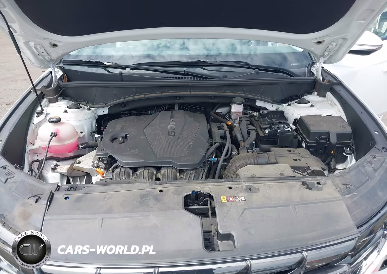 2024 Hyundai Tucson Limited VIN:5NMJECDEXRH382998 - 10
