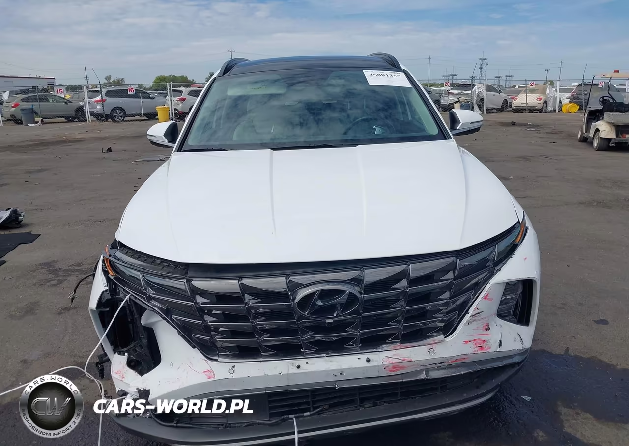 2024 Hyundai Tucson Limited VIN:5NMJECDEXRH382998 - 12