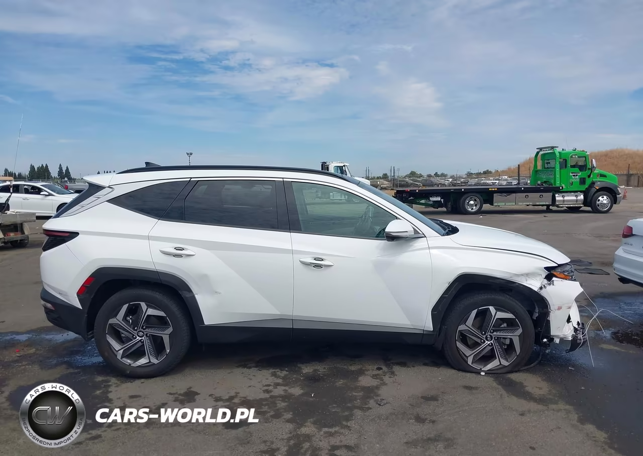 2024 Hyundai Tucson Limited VIN:5NMJECDEXRH382998 - 13