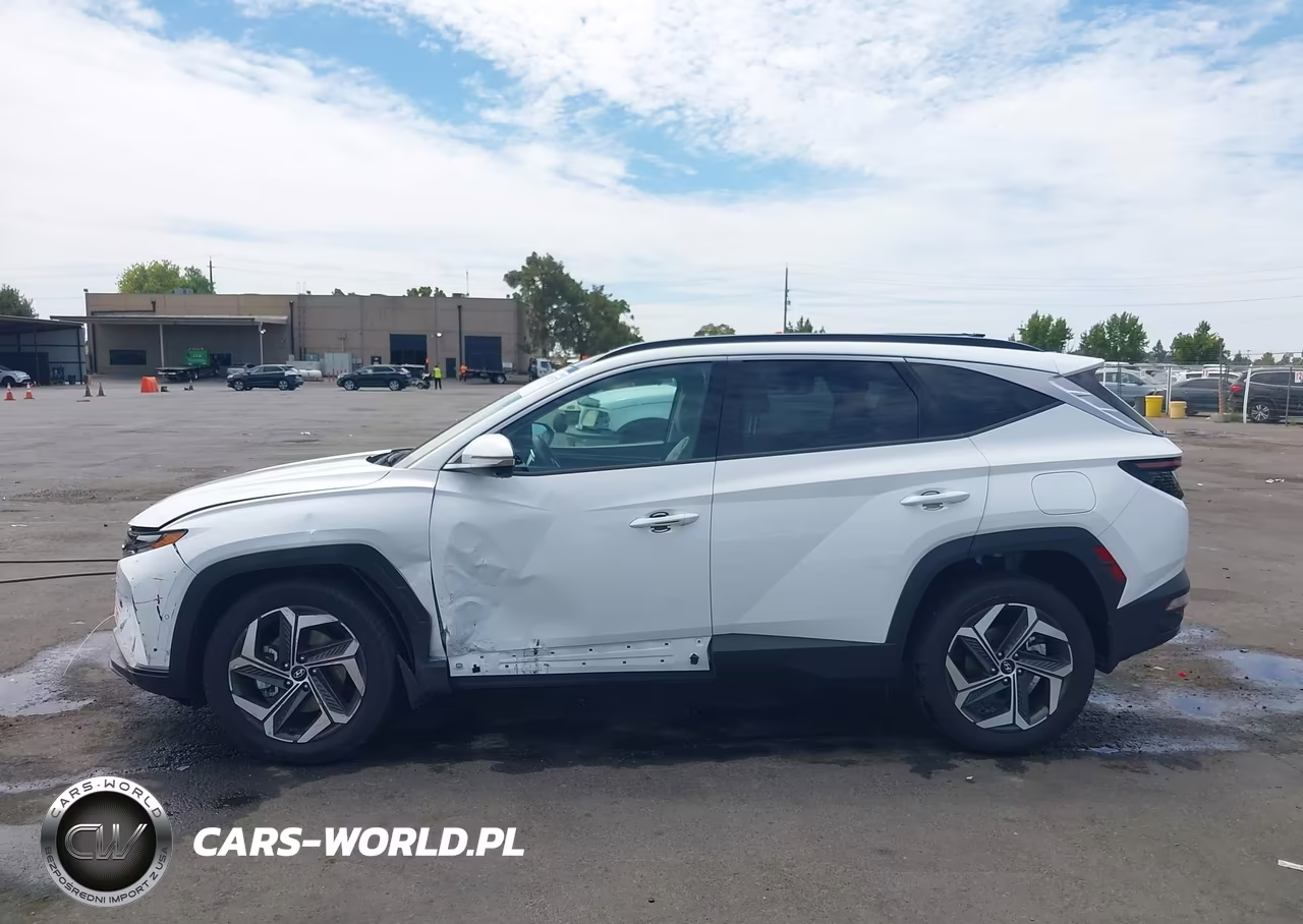 2024 Hyundai Tucson Limited VIN:5NMJECDEXRH382998 - 14