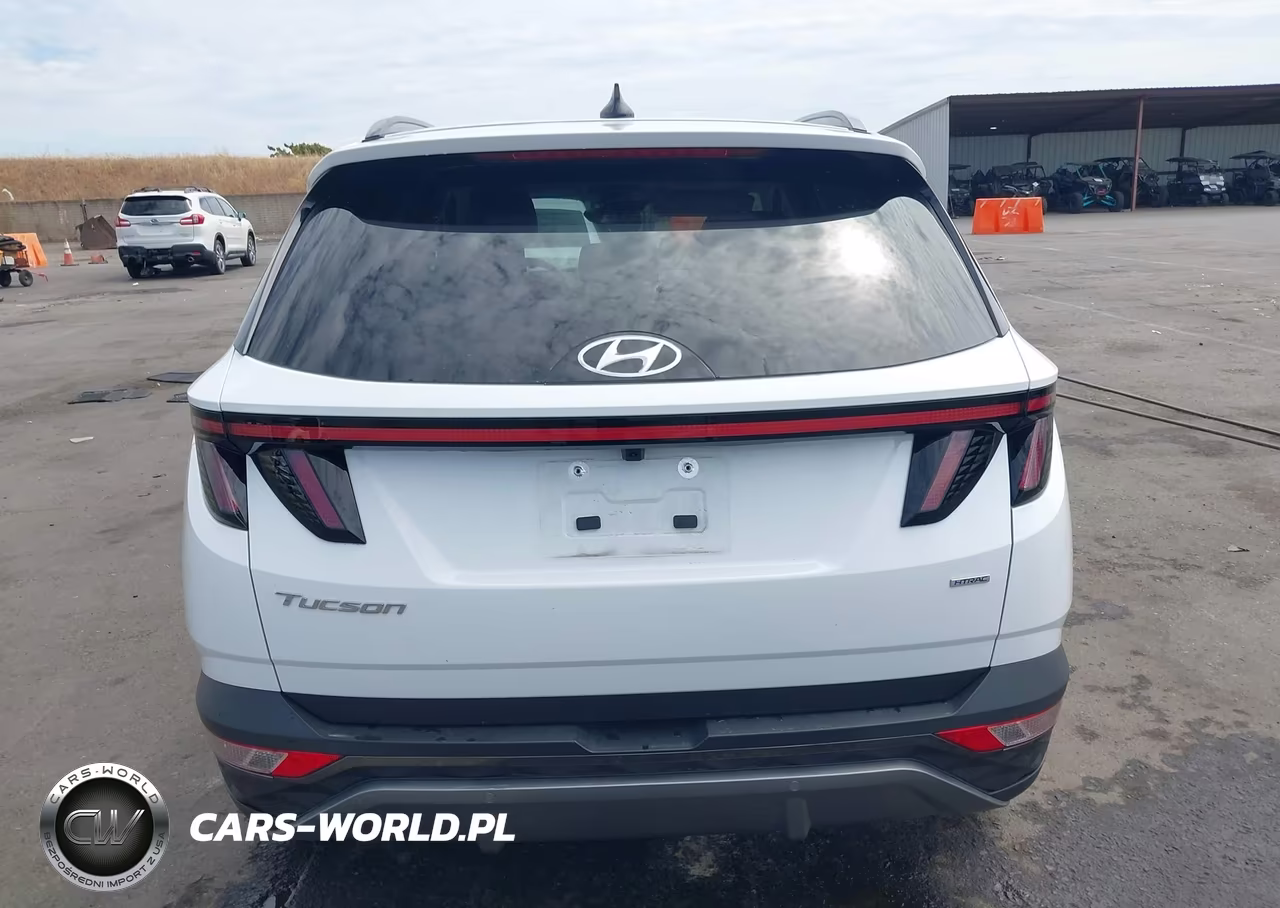 2024 Hyundai Tucson Limited VIN:5NMJECDEXRH382998 - 16