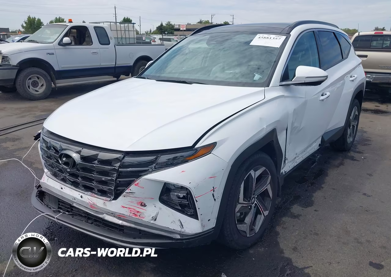 2024 Hyundai Tucson Limited VIN:5NMJECDEXRH382998 - 2