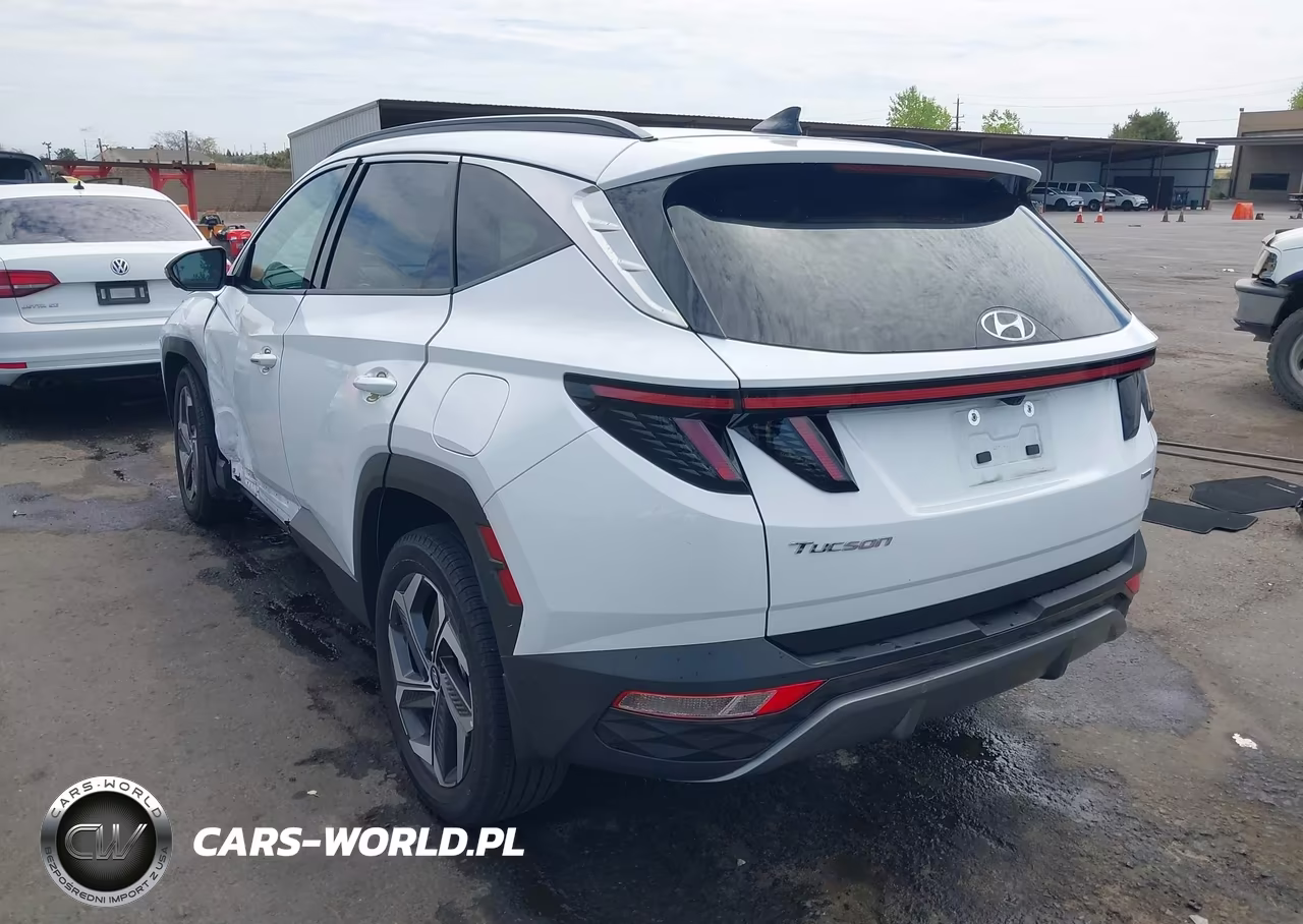 2024 Hyundai Tucson Limited VIN:5NMJECDEXRH382998 - 3