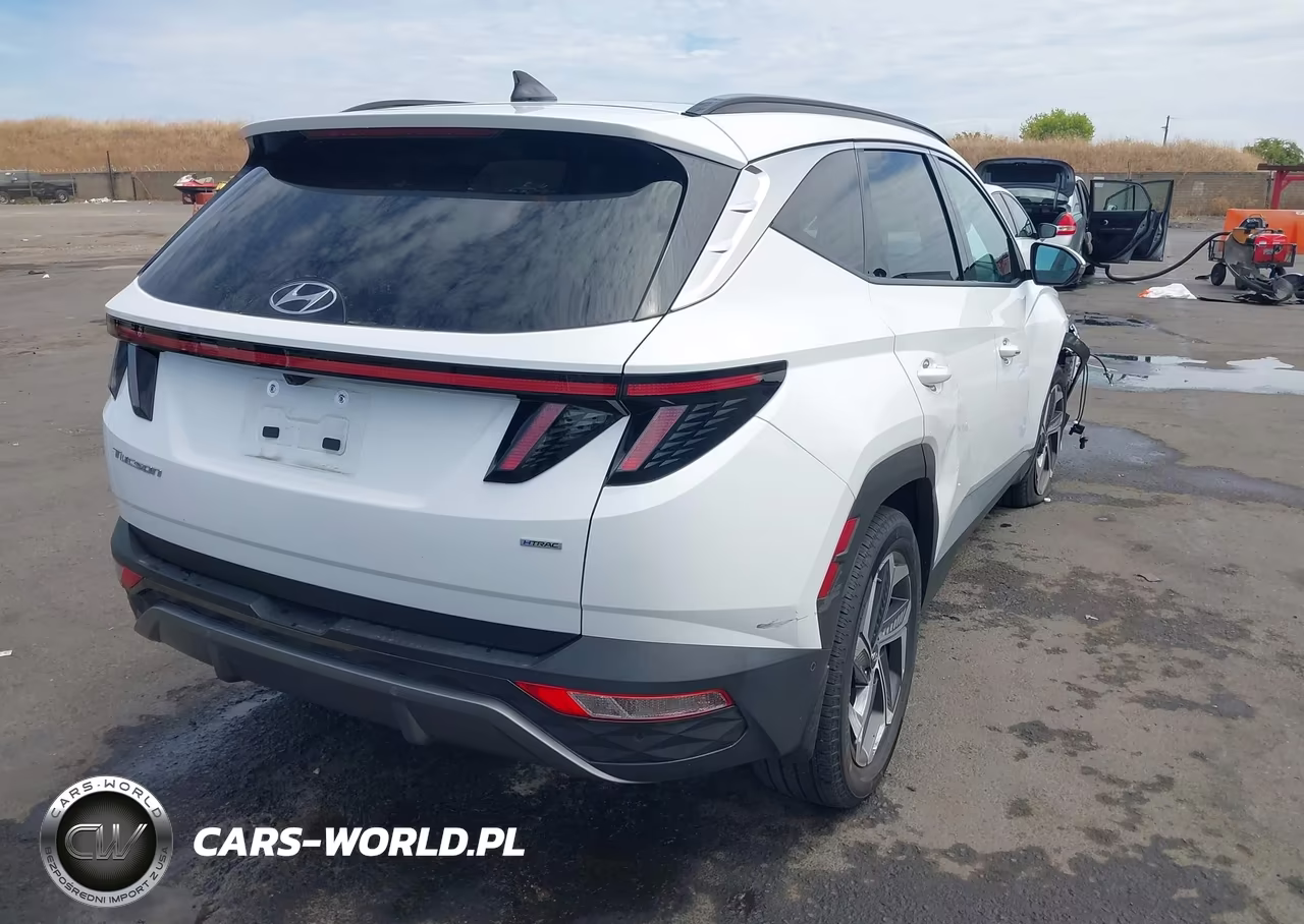 2024 Hyundai Tucson Limited VIN:5NMJECDEXRH382998 - 4