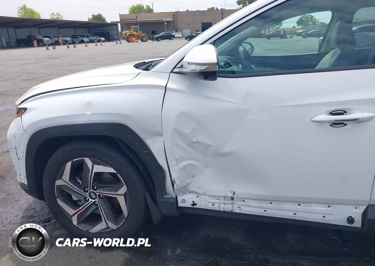 2024 Hyundai Tucson Limited VIN:5NMJECDEXRH382998 - 6