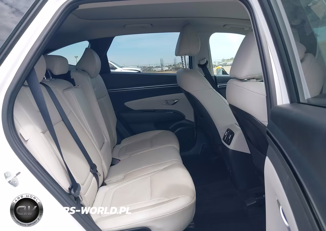 2024 Hyundai Tucson Limited VIN:5NMJECDEXRH382998 - 8