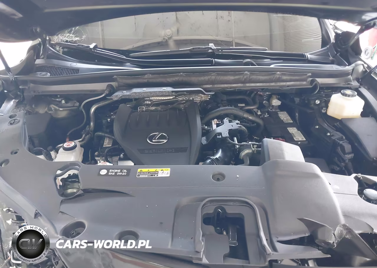 2025 Lexus Rx 350 Premium VIN:2T2BAMBAXSC067552 - 10