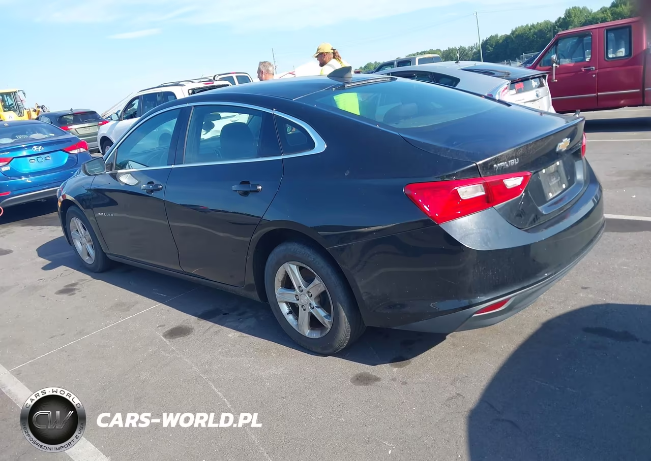 2020 Chevrolet Malibu Fwd 1Fl VIN:1G1ZC5ST0LF056503 - 14