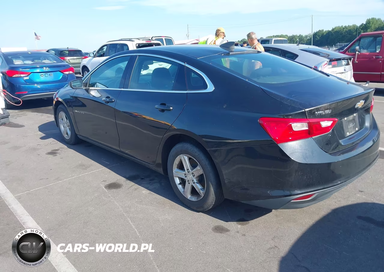 2020 Chevrolet Malibu Fwd 1Fl VIN:1G1ZC5ST0LF056503 - 3