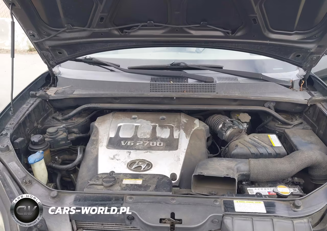 2005 Hyundai Tucson Gls-Lx VIN:KM8JN12DX5U219622 - 10