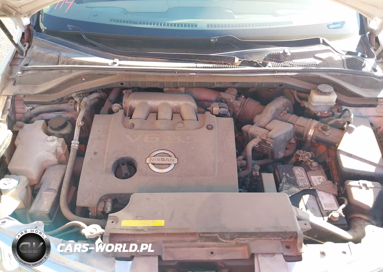 2004 Nissan Murano Sl VIN:JN8AZ08T54W216877 - 10