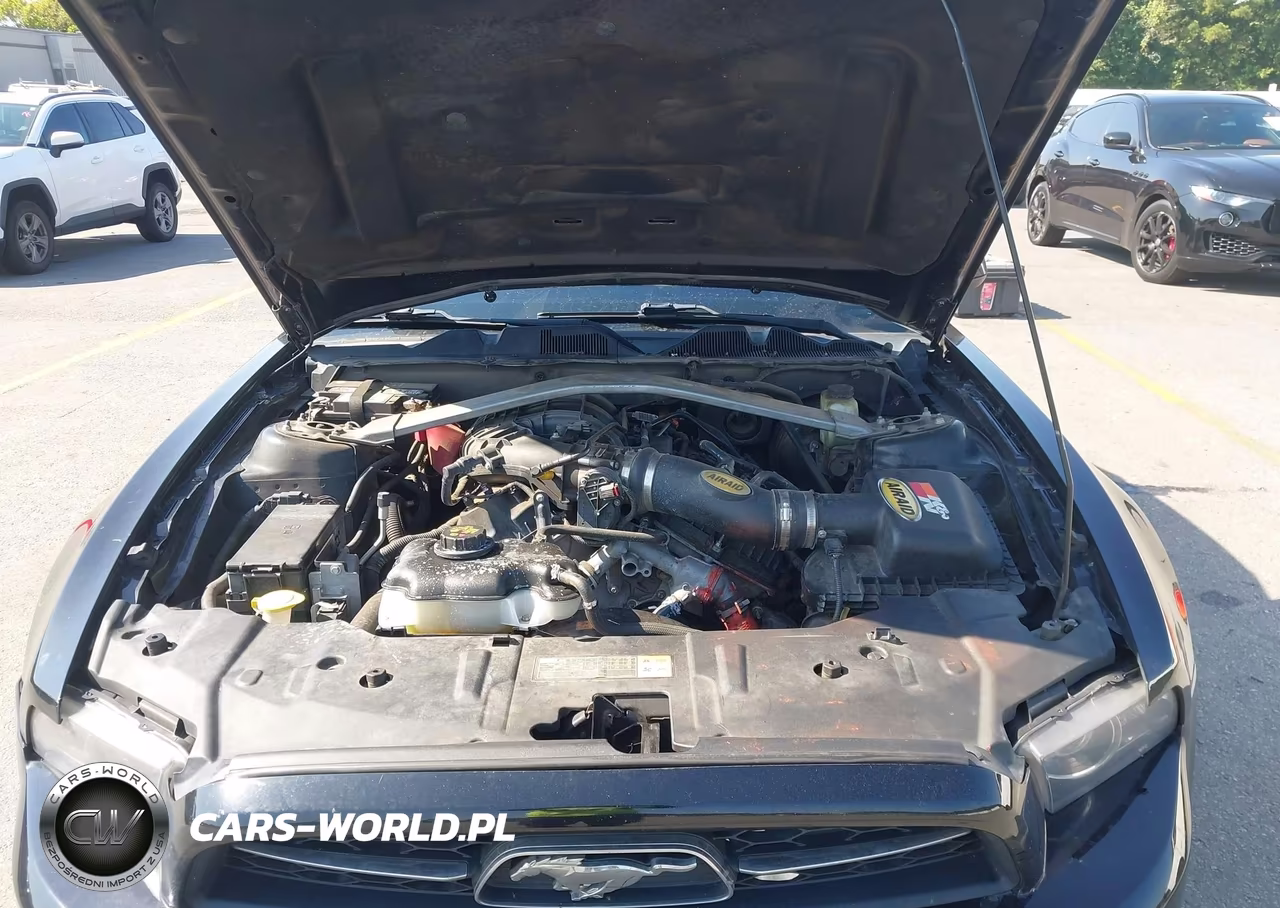 2014 Ford Mustang V6 Premium VIN:1ZVBP8EM3E5241119 - 10