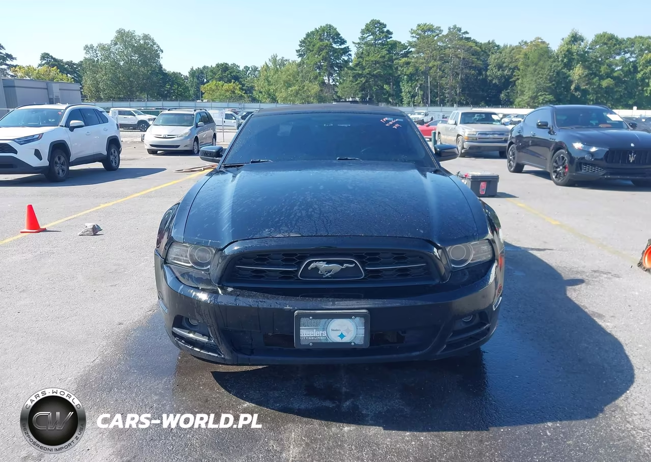2014 Ford Mustang V6 Premium VIN:1ZVBP8EM3E5241119 - 12