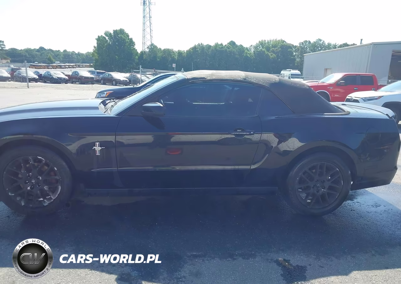 2014 Ford Mustang V6 Premium VIN:1ZVBP8EM3E5241119 - 14