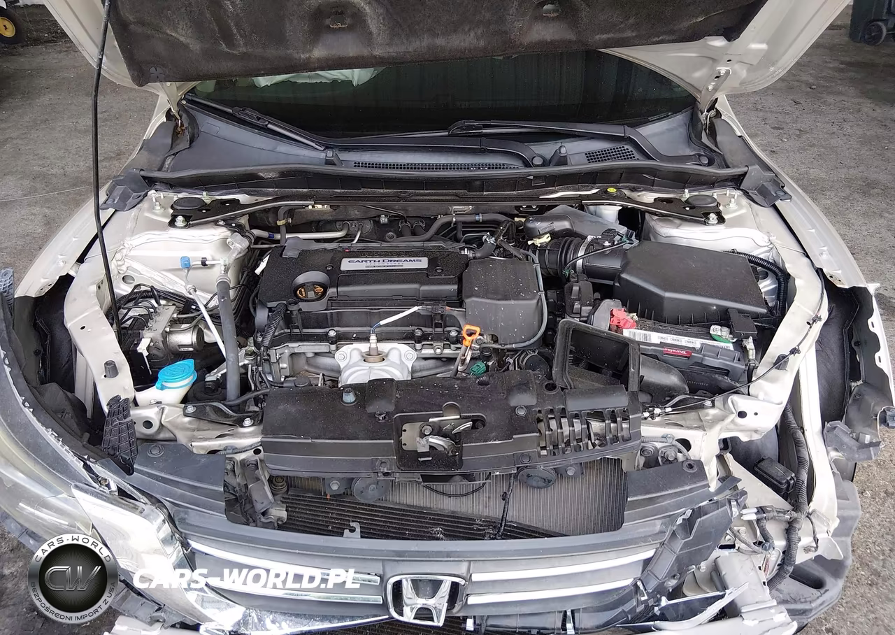 2014 Honda Accord Ex-L VIN:1HGCR2F8XEA029598 - 10