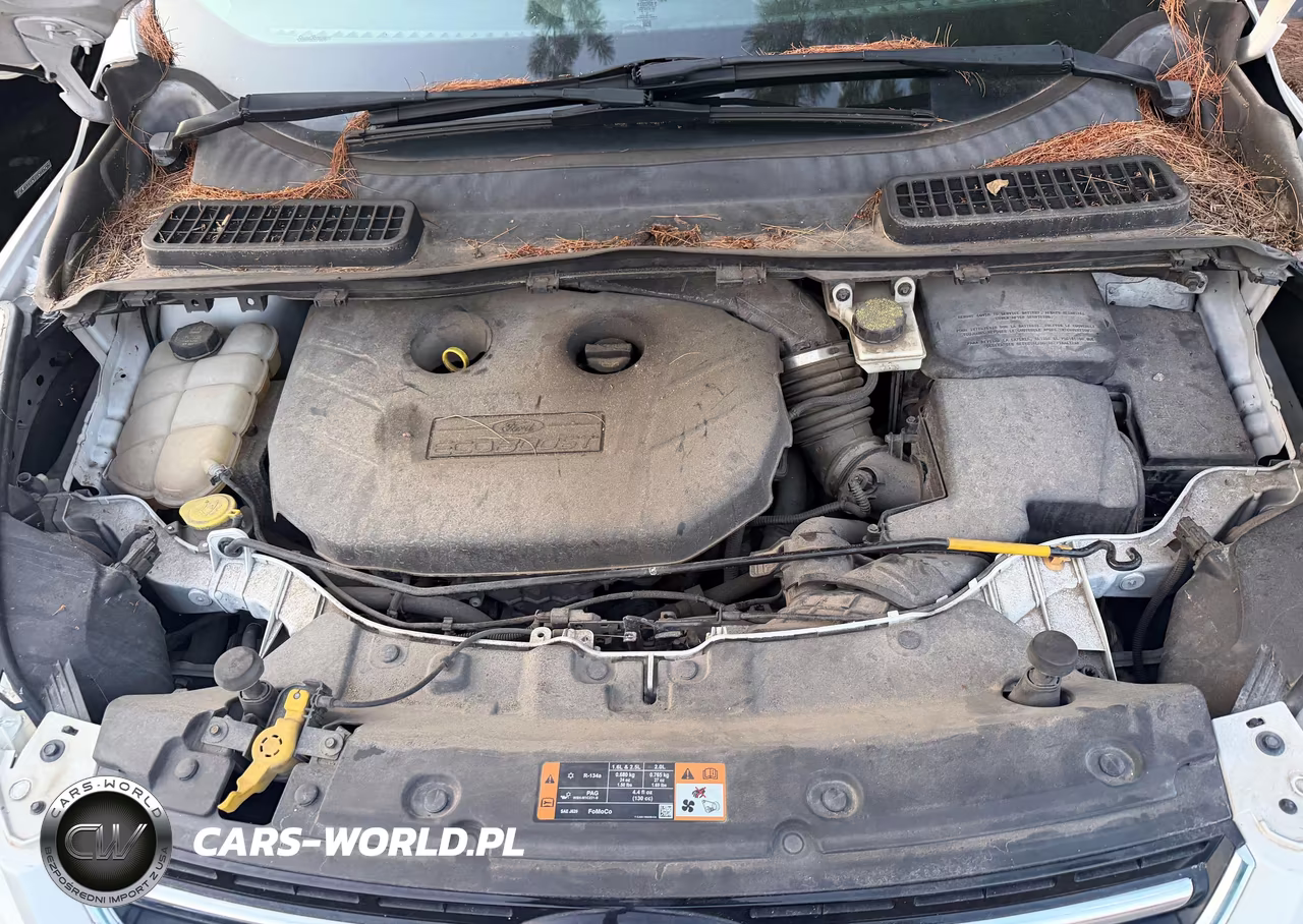 2014 Ford Escape Titanium VIN:1FMCU0J94EUB17543 - 10