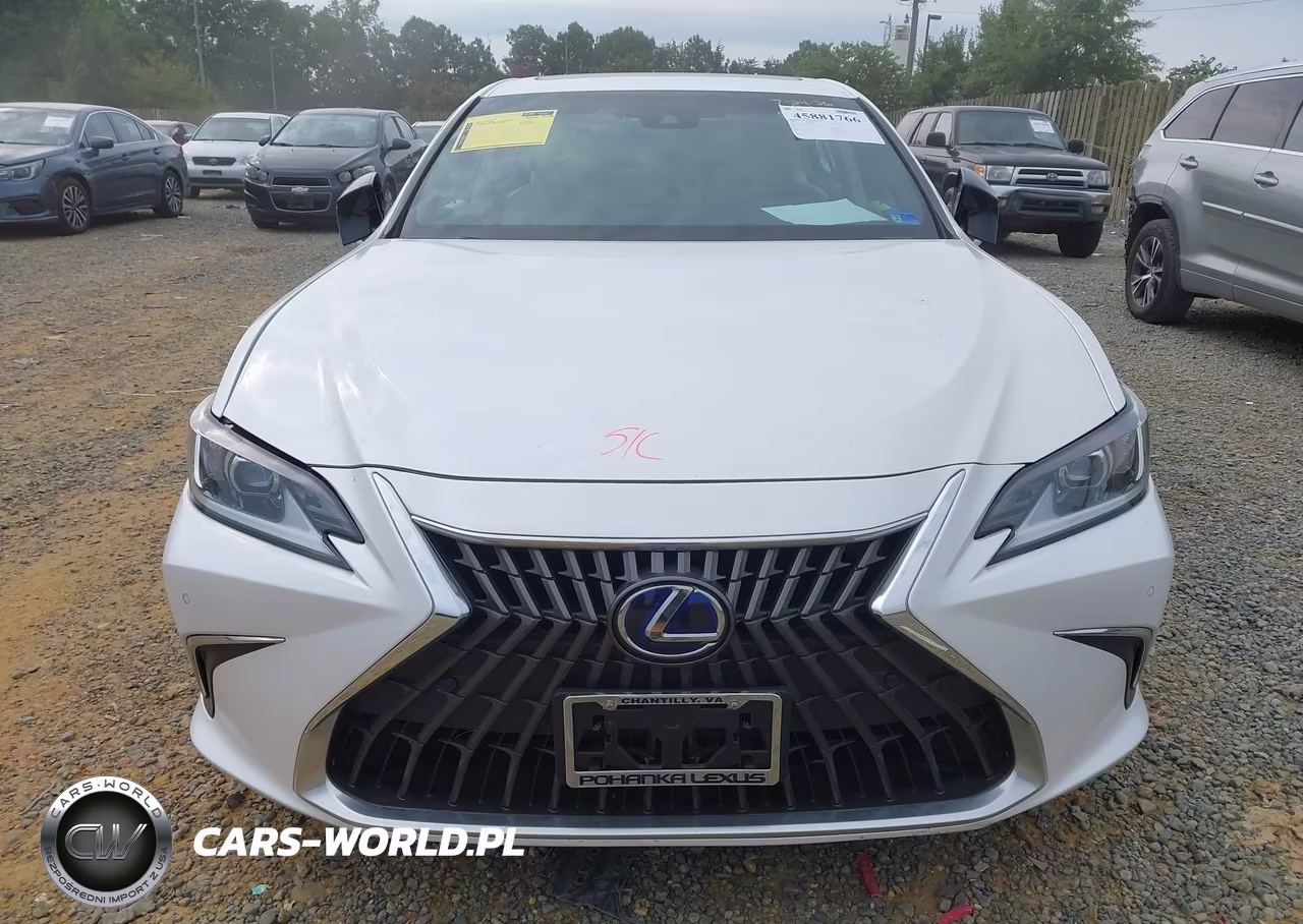 2022 Lexus Es 300H Luxury VIN:58AEA1C12NU018937 - 12