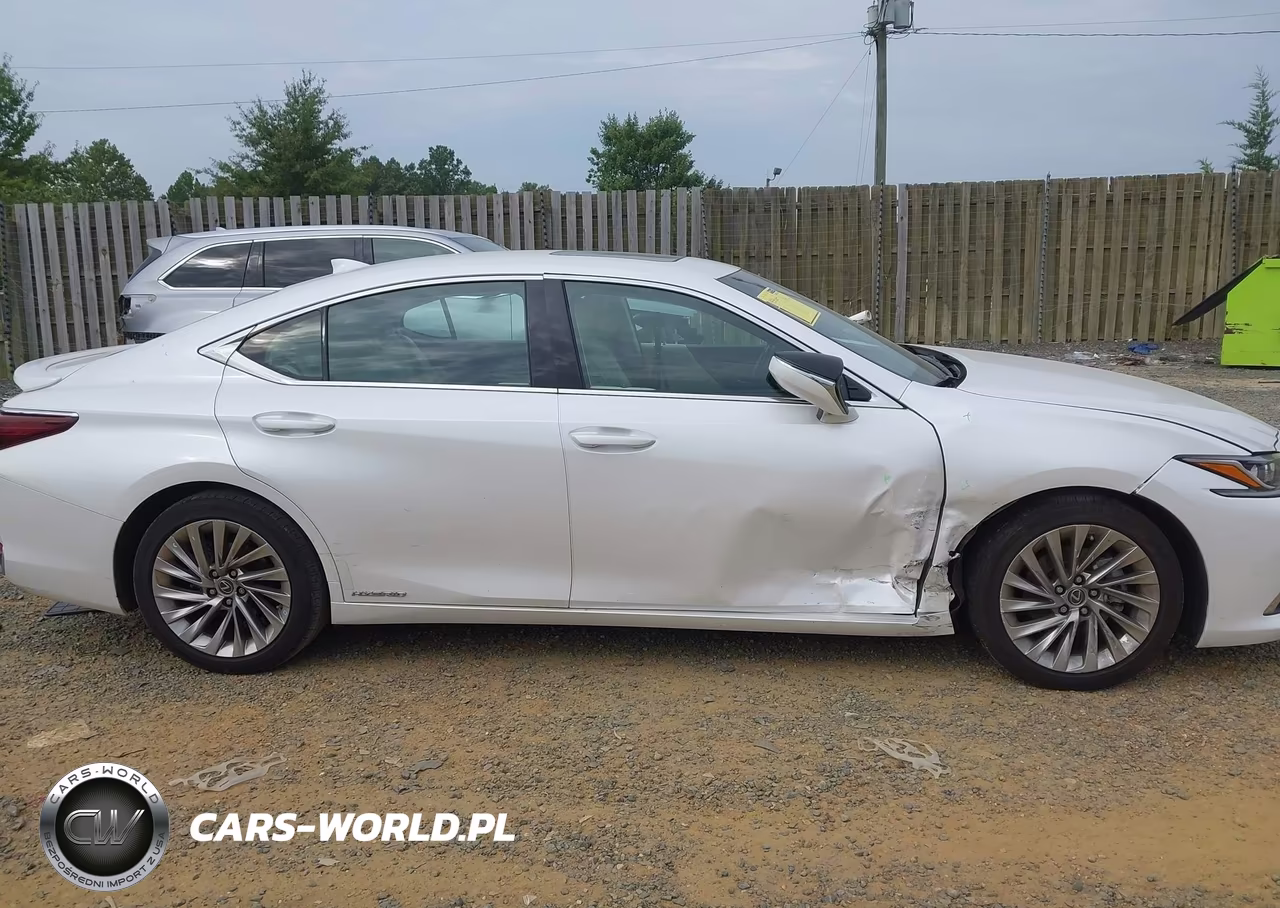 2022 Lexus Es 300H Luxury VIN:58AEA1C12NU018937 - 13