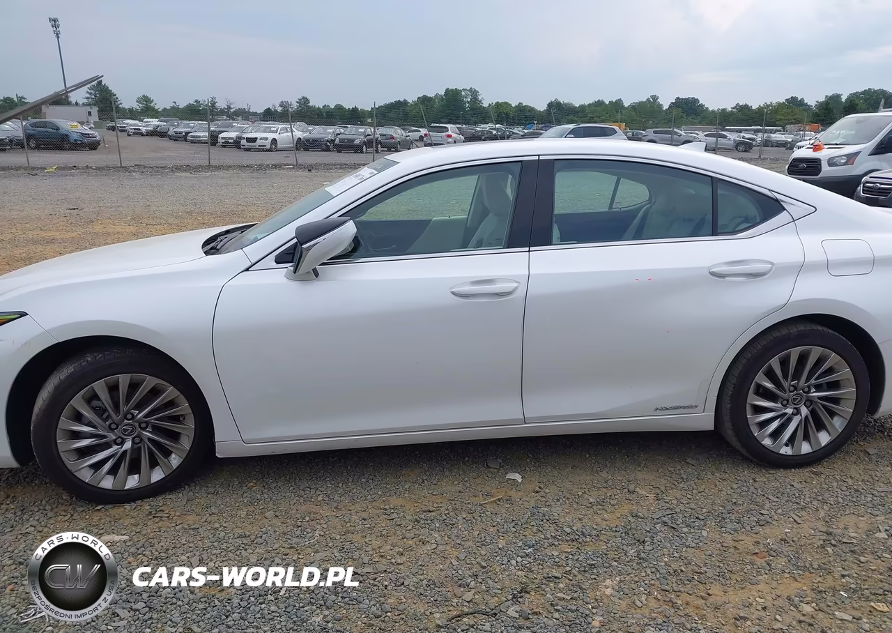 2022 Lexus Es 300H Luxury VIN:58AEA1C12NU018937 - 14