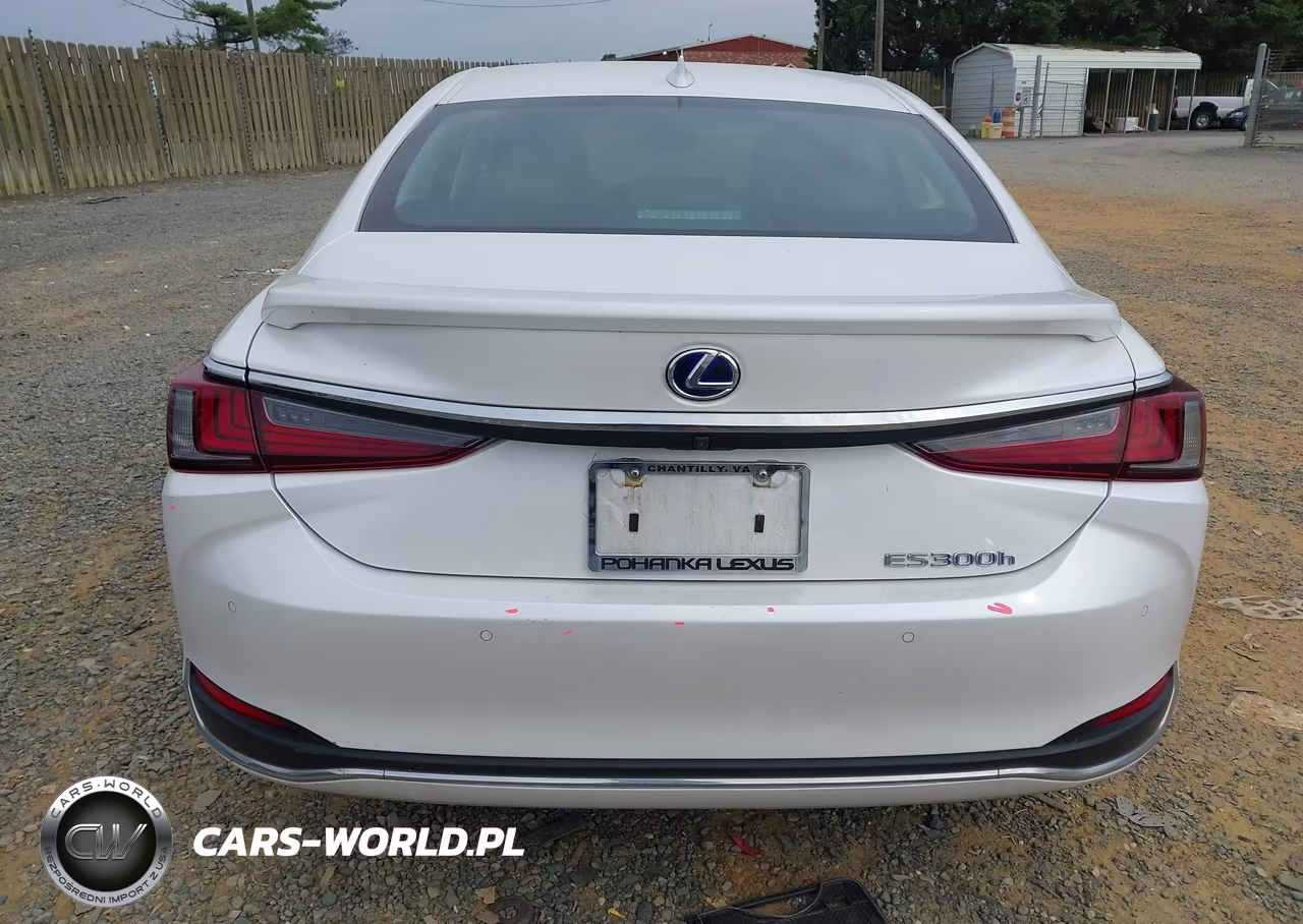 2022 Lexus Es 300H Luxury VIN:58AEA1C12NU018937 - 16