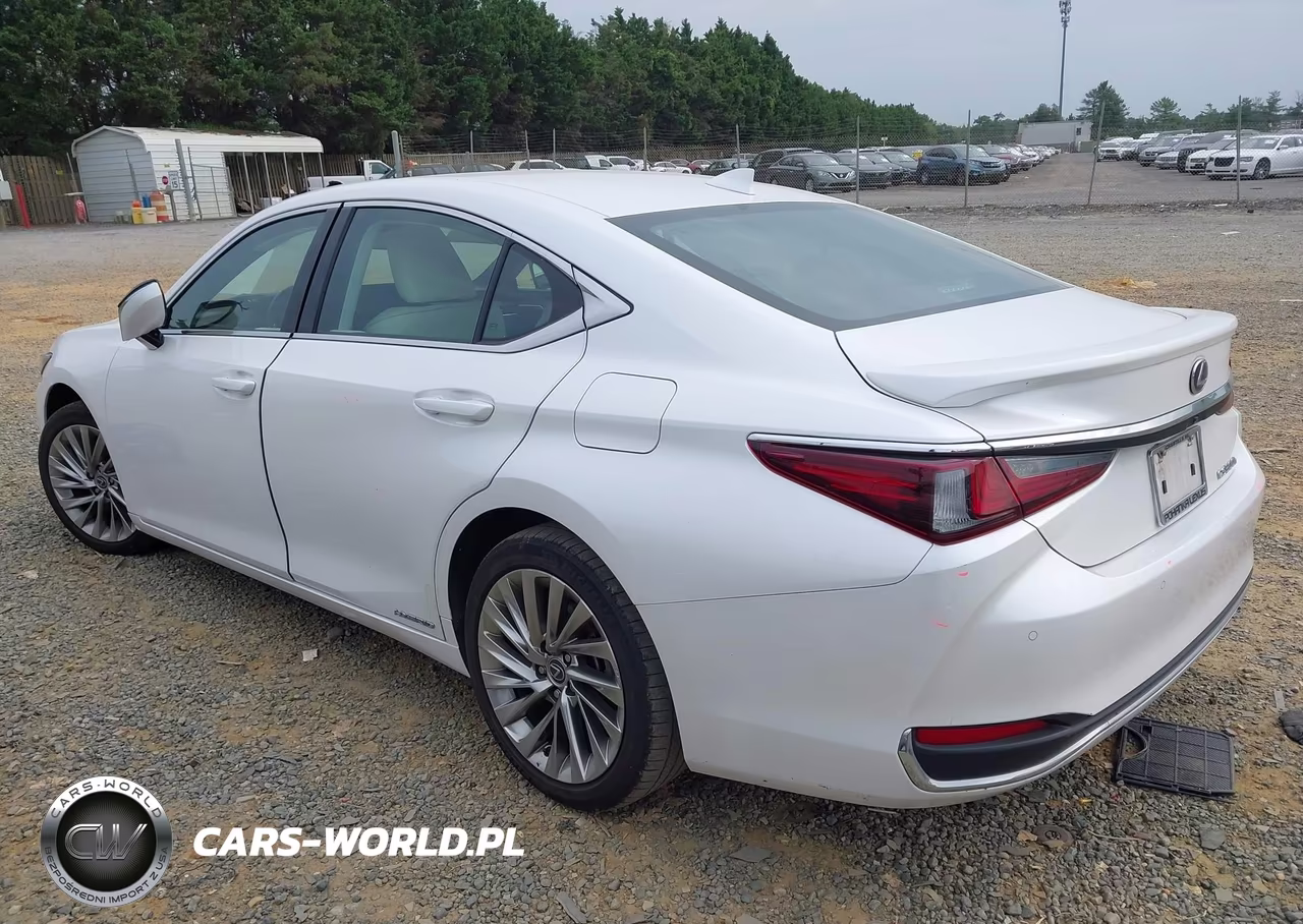2022 Lexus Es 300H Luxury VIN:58AEA1C12NU018937 - 3