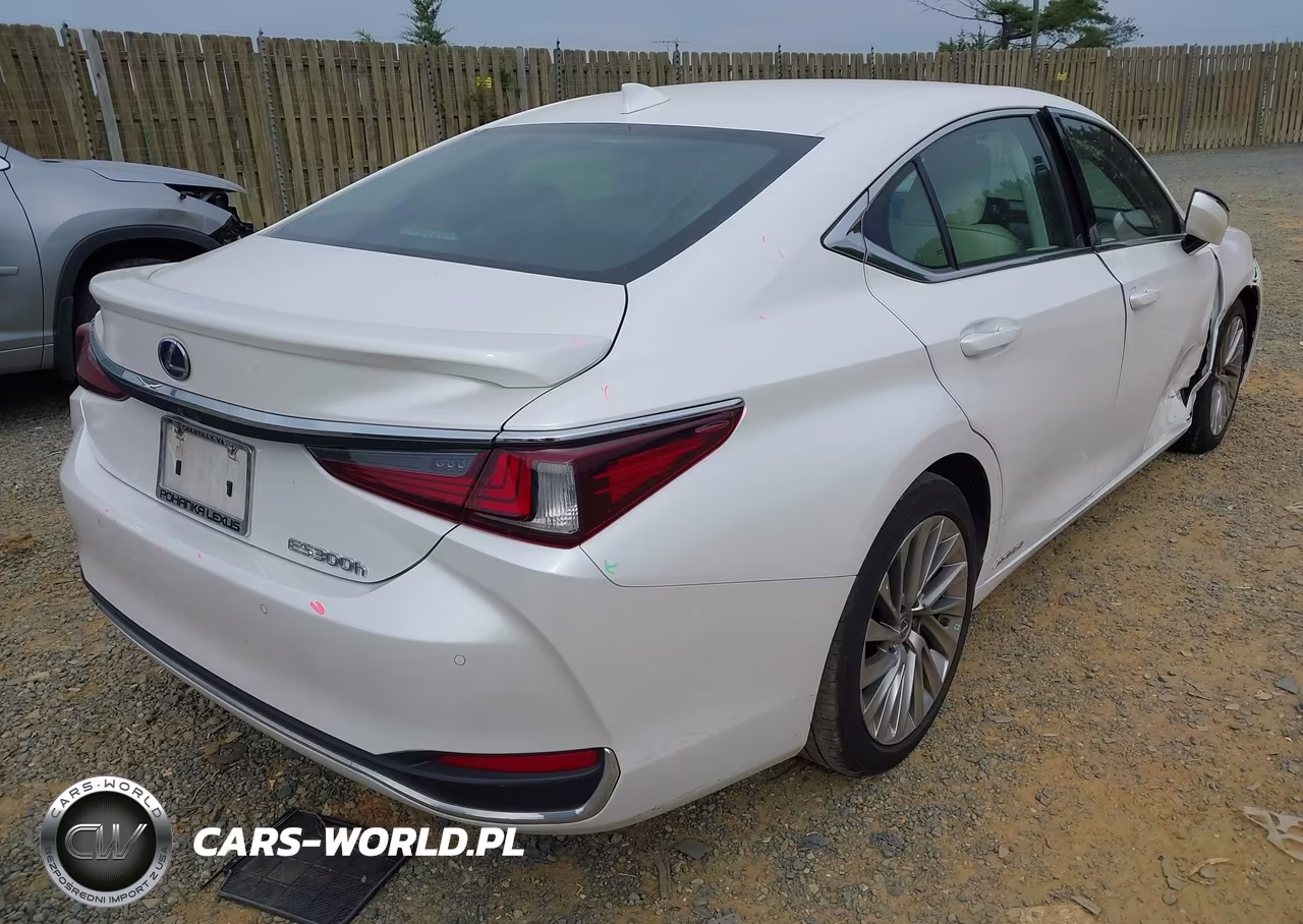 2022 Lexus Es 300H Luxury VIN:58AEA1C12NU018937 - 4