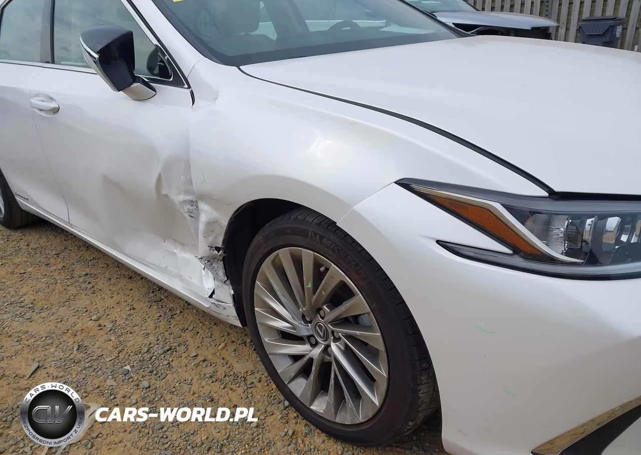 2022 Lexus Es 300H Luxury VIN:58AEA1C12NU018937 - 6