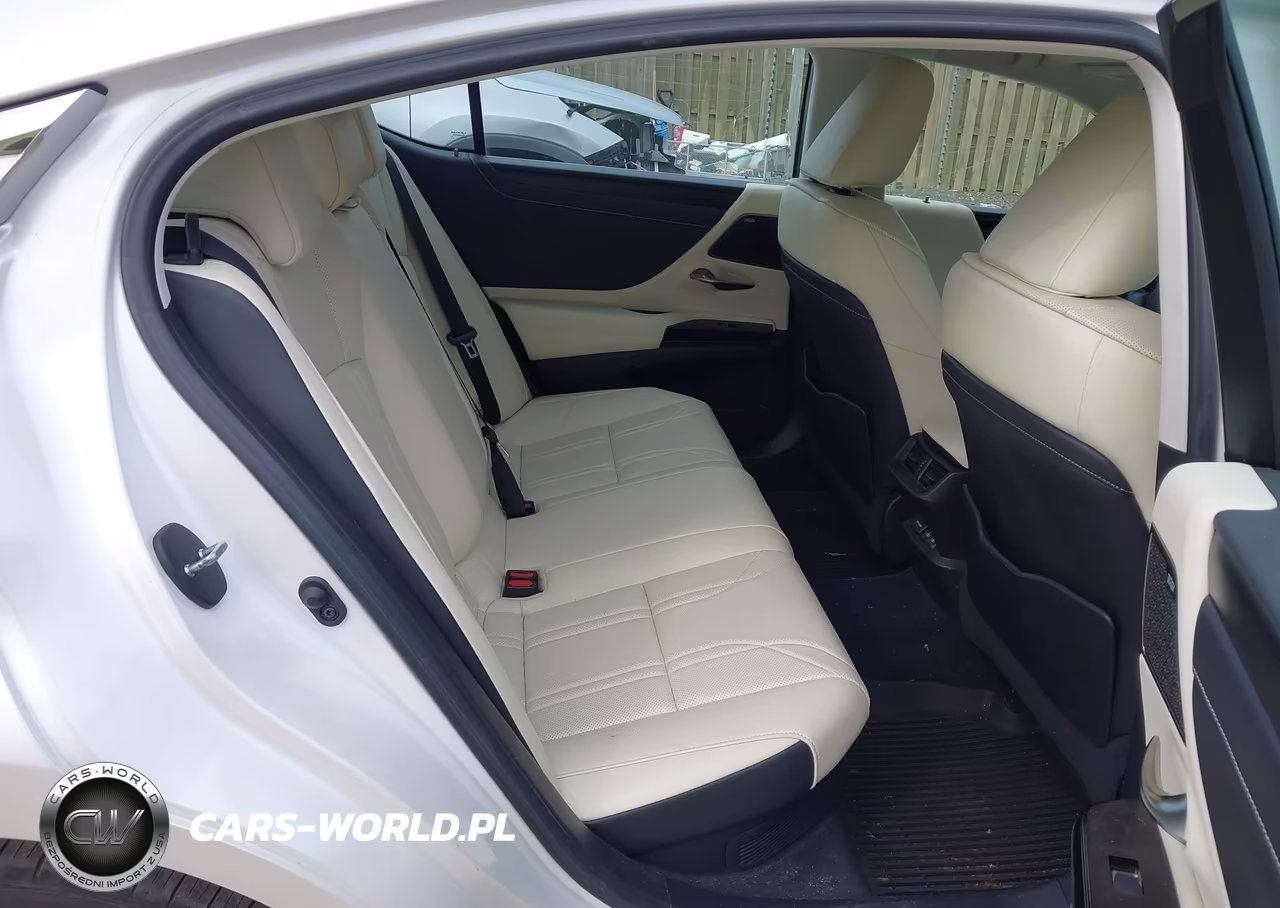 2022 Lexus Es 300H Luxury VIN:58AEA1C12NU018937 - 8