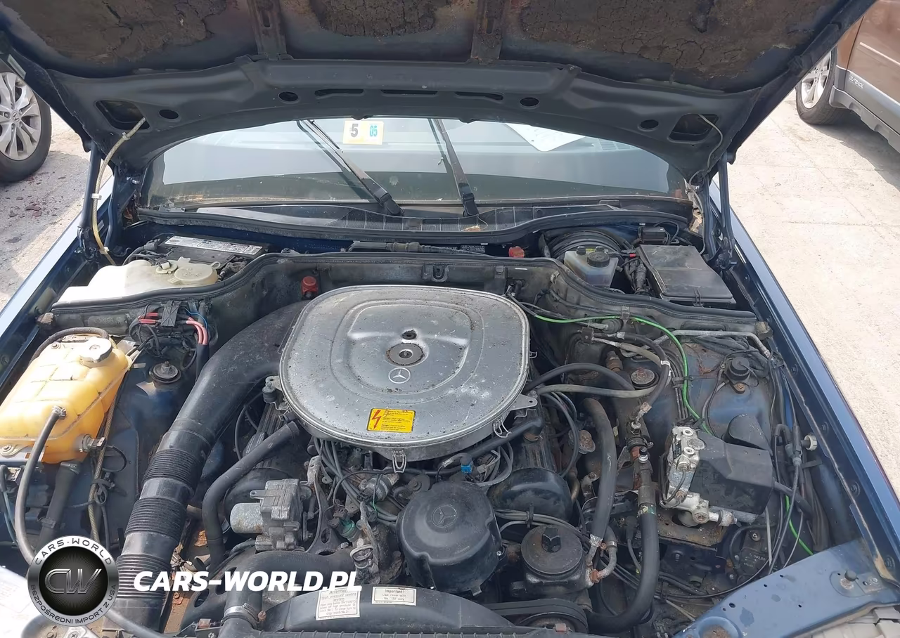 1987 Mercedes-Benz 420 Sel VIN:WDBCA35D9HA293862 - 10