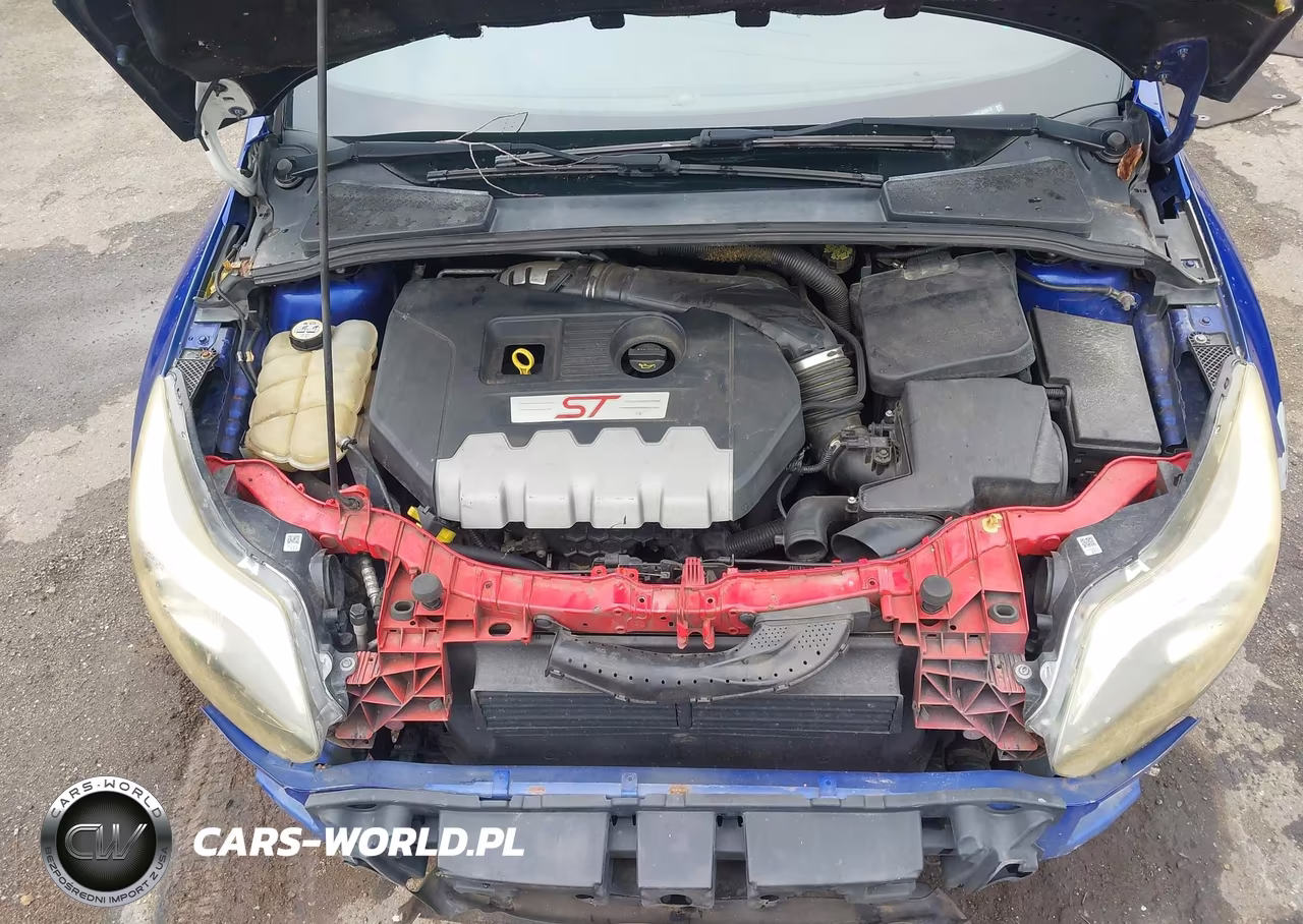 2014 Ford Focus St VIN:1FADP3L90EL358879 - 10