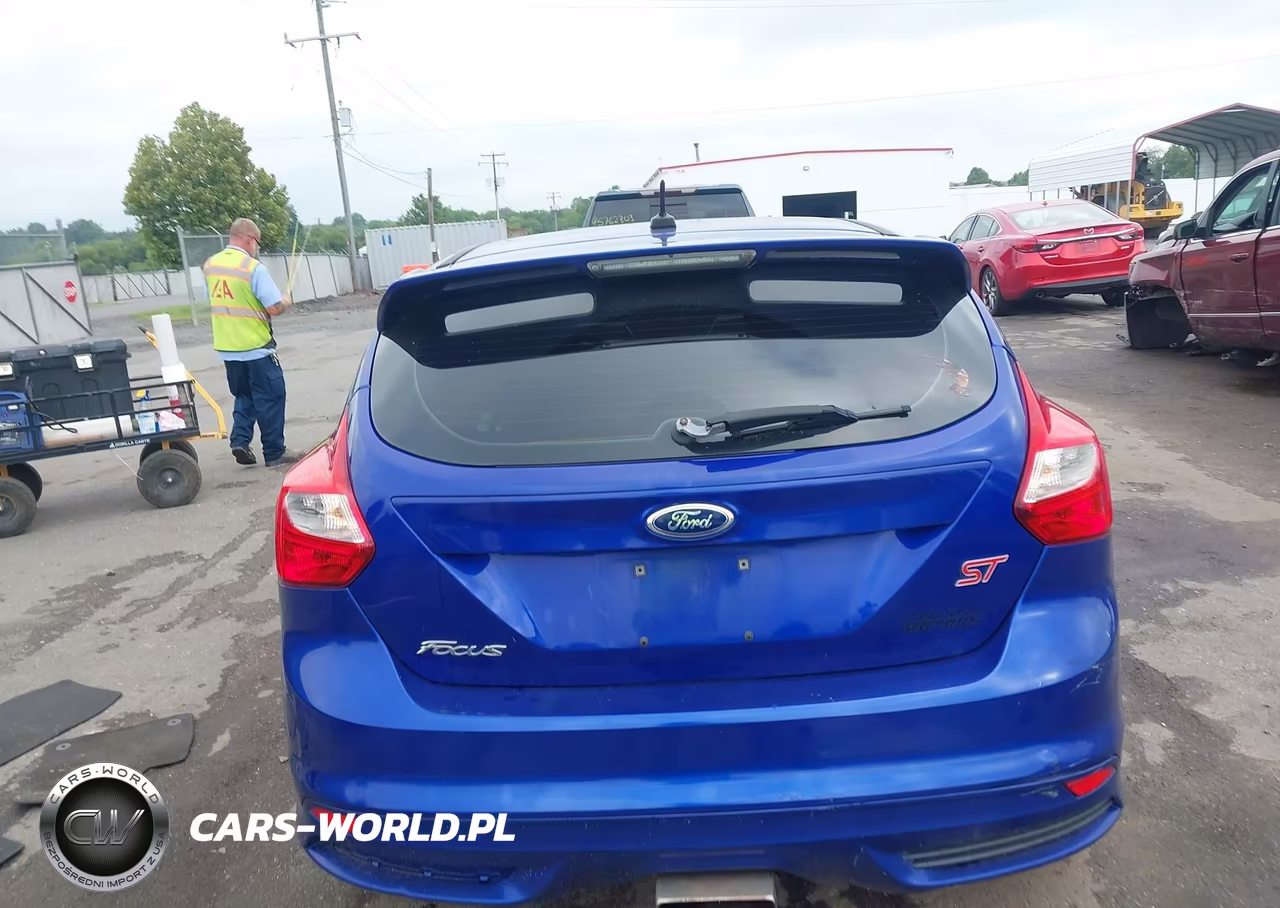 2014 Ford Focus St VIN:1FADP3L90EL358879 - 17