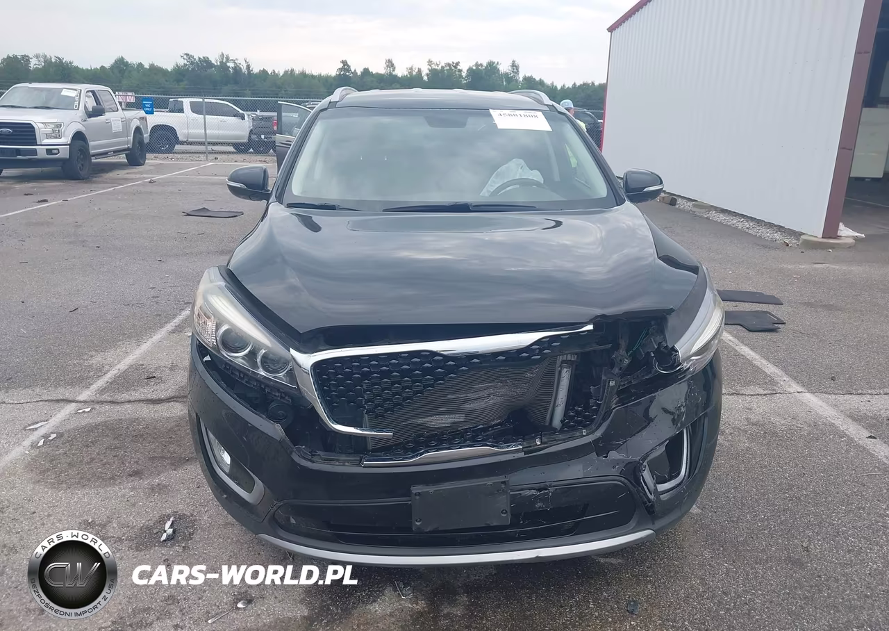2018 Kia Sorento 3.3L Ex VIN:5XYPH4A51JG410505 - 12