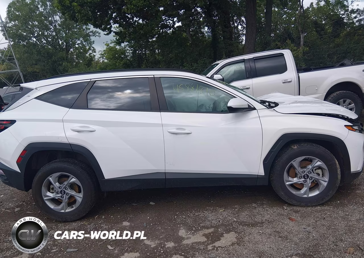 2024 Hyundai Tucson Sel VIN:5NMJBCDE1RH306403 - 13