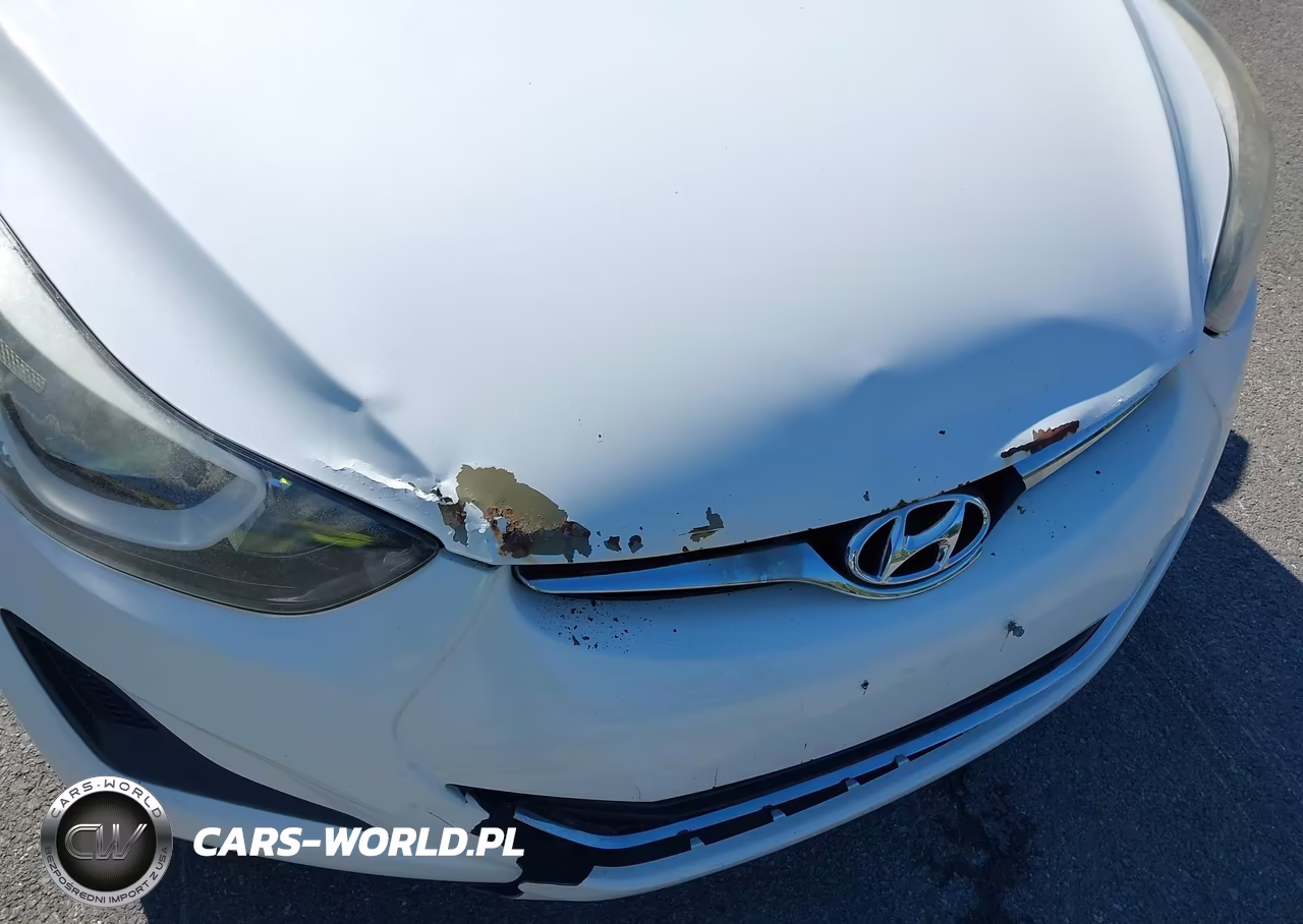 2016 Hyundai Elantra Se VIN:5NPDH4AEXGH760669 - 13