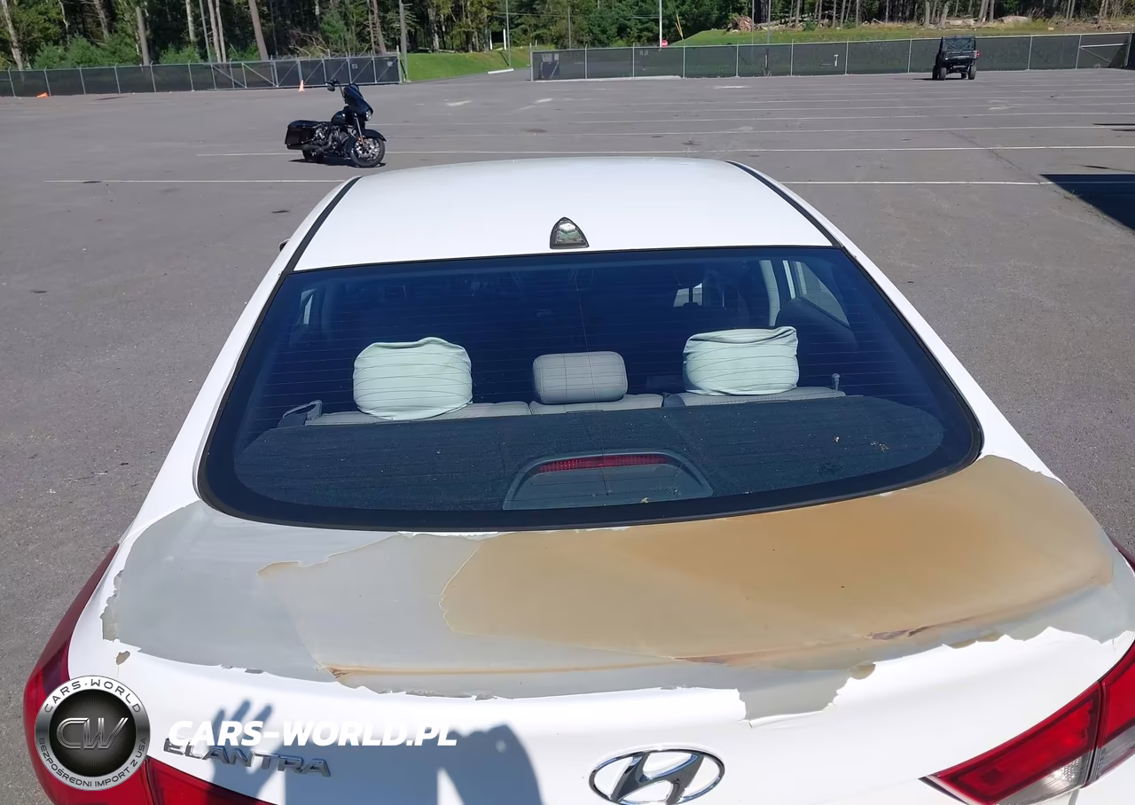 2016 Hyundai Elantra Se VIN:5NPDH4AEXGH760669 - 6